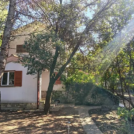 Holiday home Pine Breeze - Cozy Family & Couple Oasis Near Sea Punat